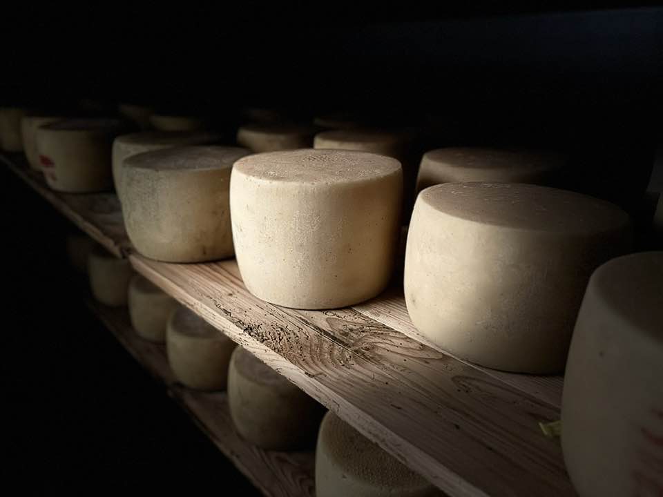 Pecorino di Osilo (SS) from the "Barone Chessa" Artisan Micro-Dairy