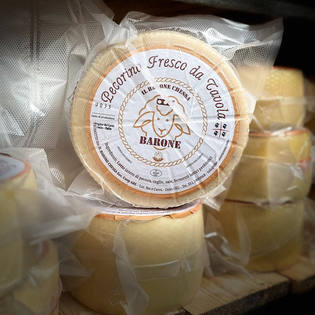 Pecorino di Osilo (SS) from the "Barone Chessa" Artisan Micro-Dairy