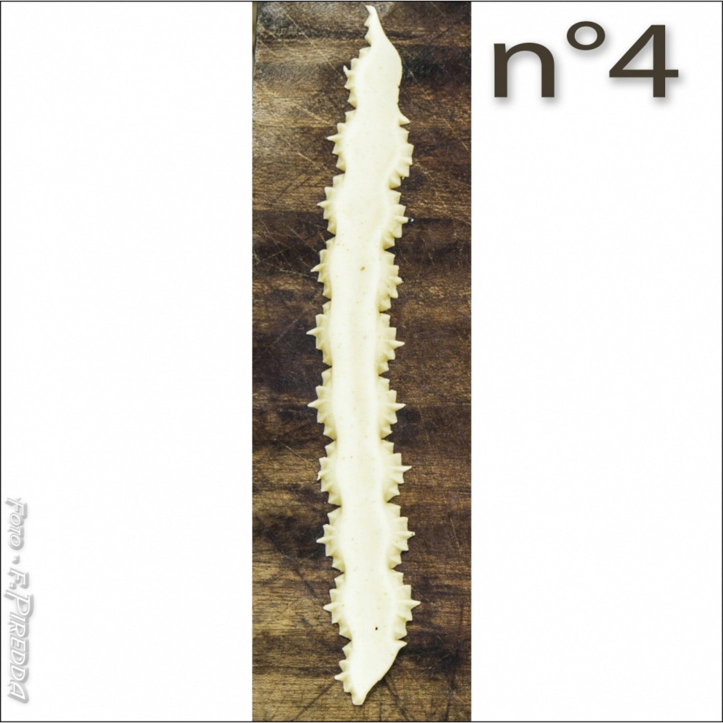 Pasta processing & decoration