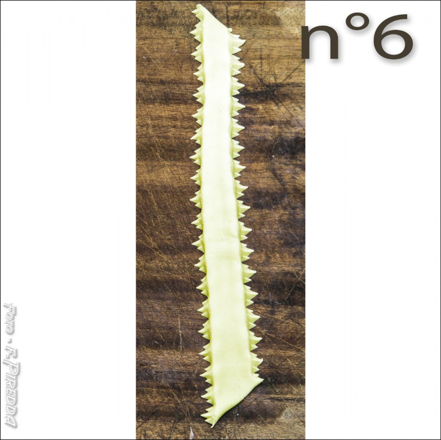 Pasta processing & decoration