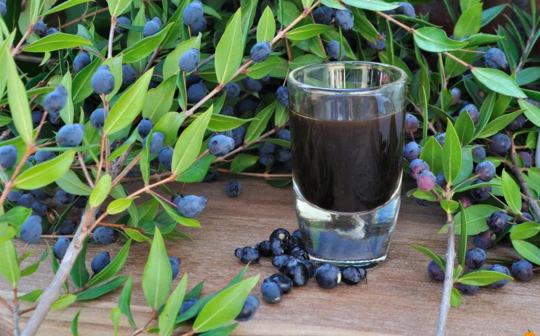 Ricetta originale del liquore alle bacche di mirto sardo