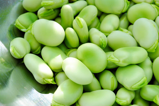 Fèves sardes fraîches et tendres entières en paquet de 1 kilo