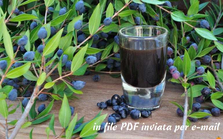 Ricetta originale del liquore alle bacche di mirto sardo