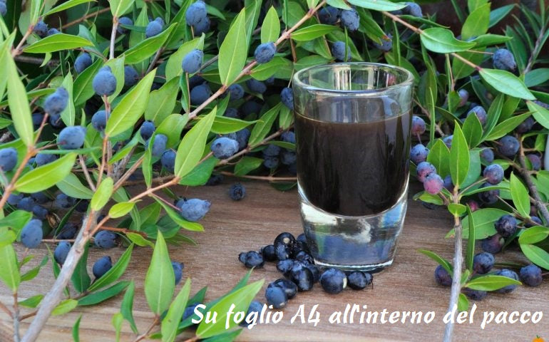 Ricetta originale del liquore alle bacche di mirto sardo