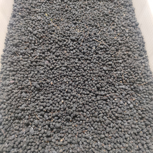 BACCHE DI MIRTO NERO ESSICCATE (Myrtus communis)