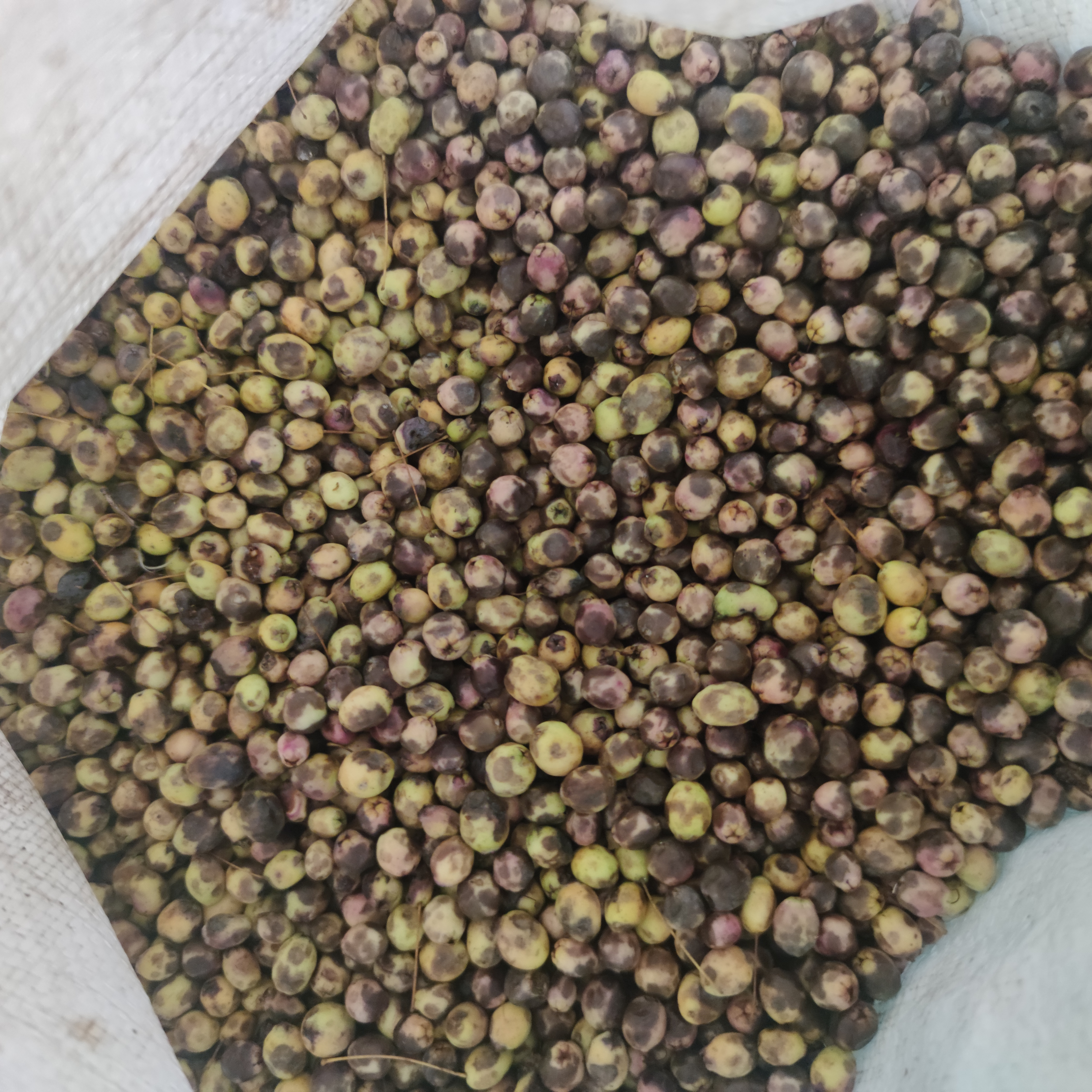 MIRTO Bianco Liquore Tipico Sardo Di Foglie Di Mirto