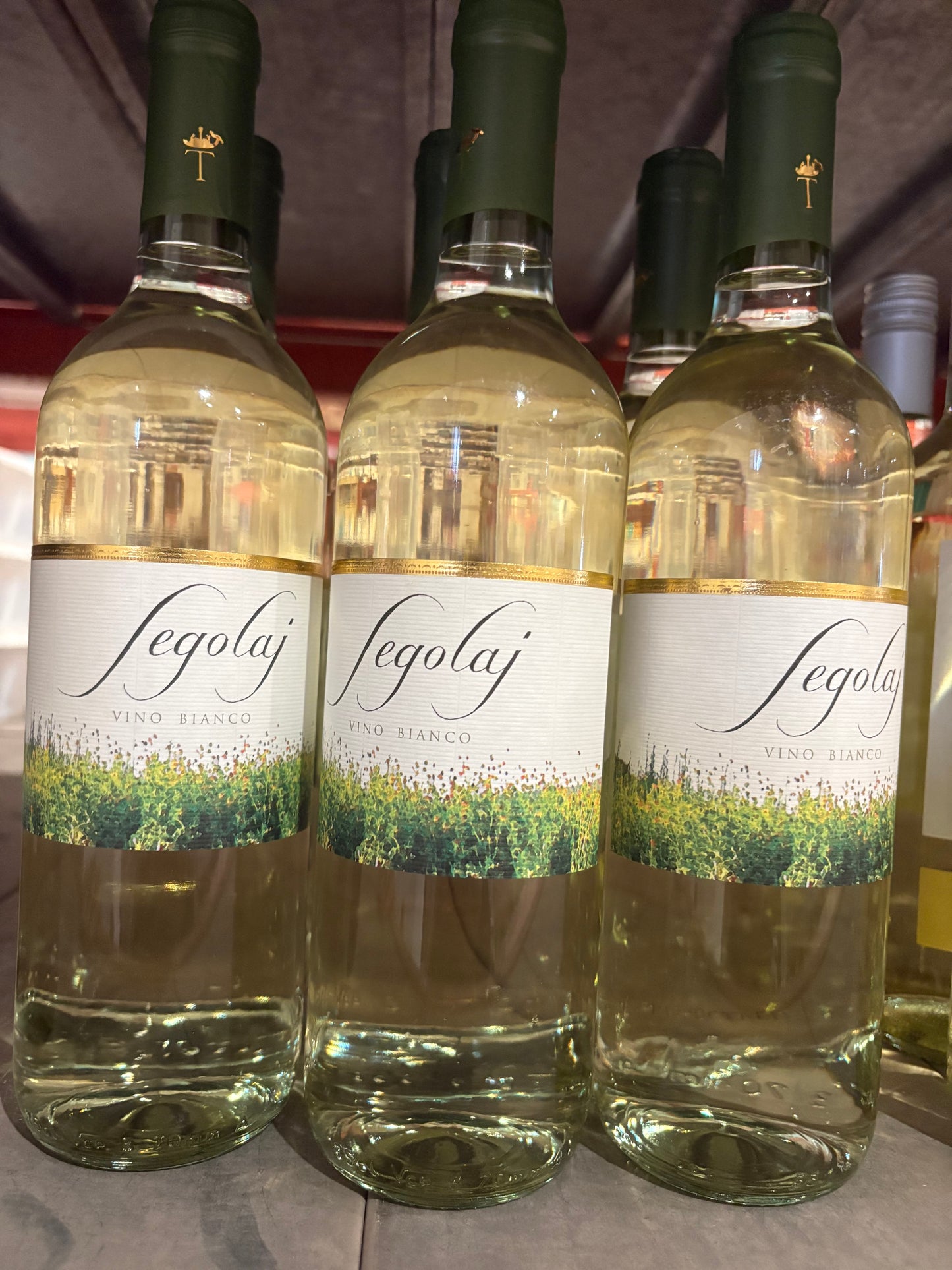 Vino Bianco Frizzante Segolaj 75 cl