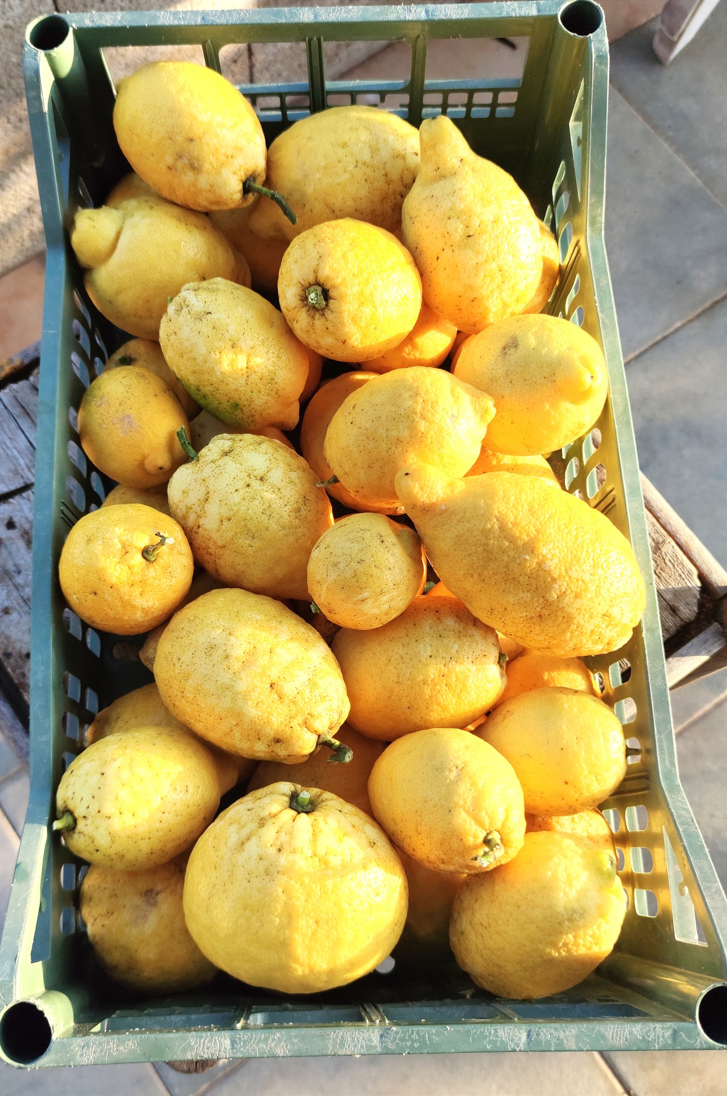 Sardinian thick-skinned lemons, untreated per kilo