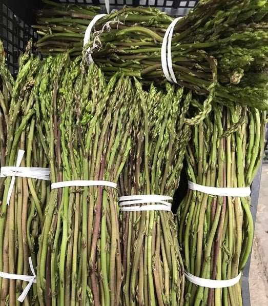 Sardinian wild asparagus