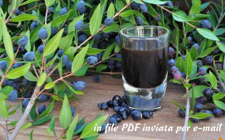 Original recipe for Sardinian myrtle berry liqueur