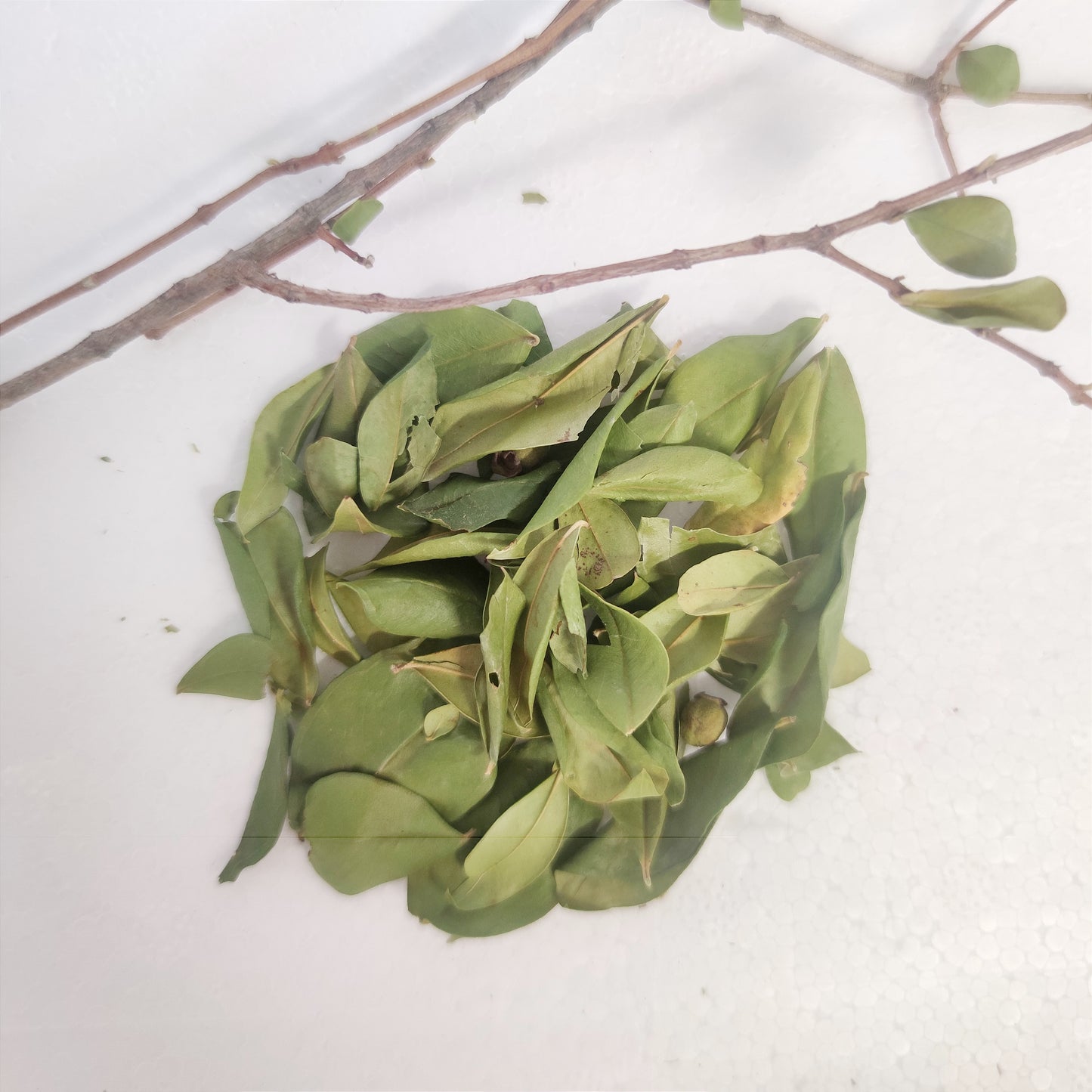 SELECTED DRIED MYRTLE LEAVES (LEAVES ONLY) 100 GRAMS
