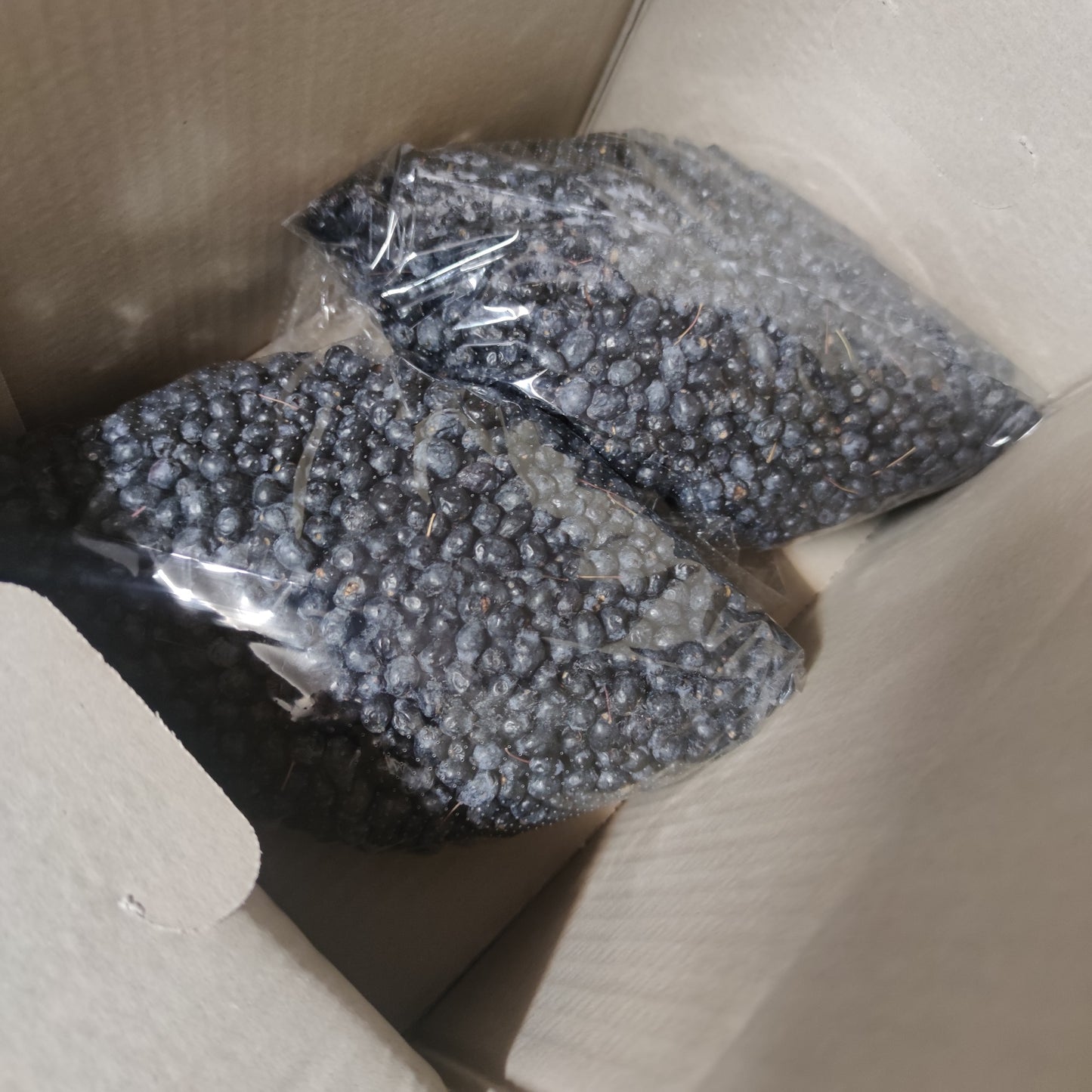 Fresh Sardinian black myrtle berries (myrtus communis) in food packaging [ PREORDER ]