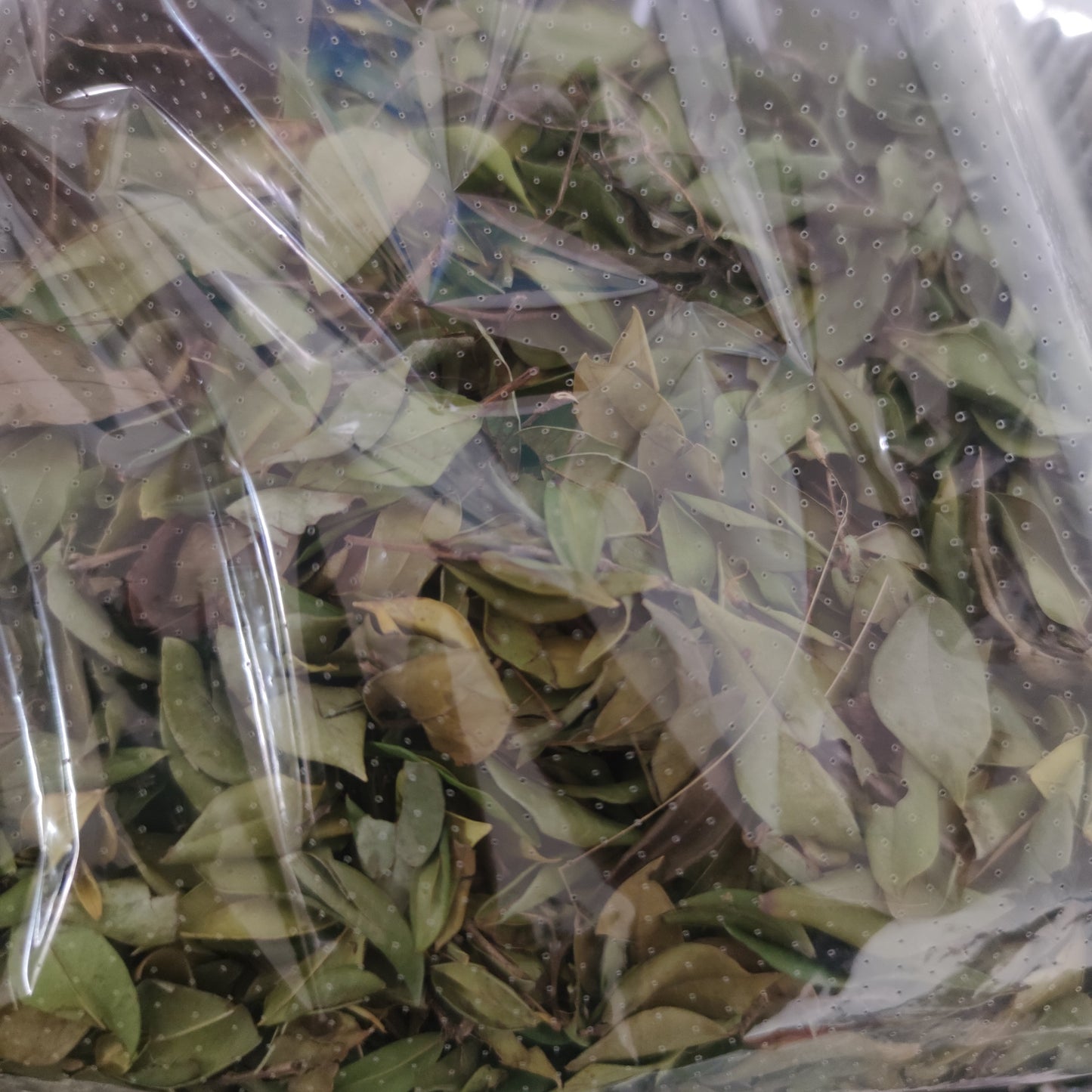 SELECTED DRIED MYRTLE LEAVES (LEAVES ONLY) 100 GRAMS
